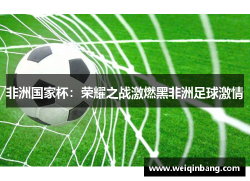 非洲国家杯：荣耀之战激燃黑非洲足球激情