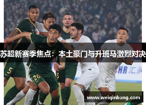 苏超新赛季焦点：本土豪门与升班马激烈对决